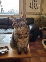 おおきな手&nbsp;なこ 