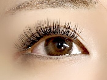 コキーユ(Coquille)/Wフラット８０束