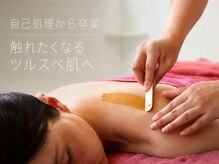 アオイ(Aoi)
