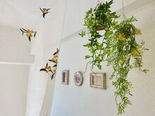 リノ 天神(LINO)/ベット周り♪