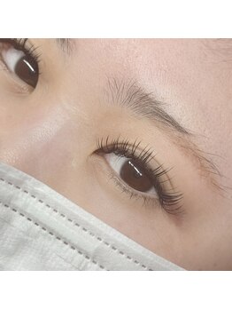 オメメビューティー(Omeme Beauty)/バインドロック140束