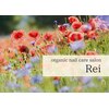 レイ(Rei)ロゴ