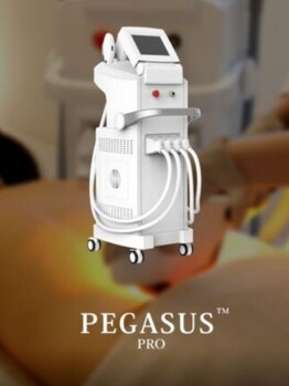 プラスビビ ビューティーサロン(+bibi beauty Salon)/【ハイパワー電力】