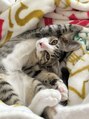 アンフルール 新宿店(Une fleur) お家で飼っている猫ちゃんです!毎日癒されてます♪