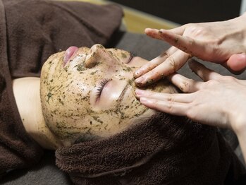 モルフォ(Morpho.)/