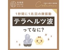 ジェルブラローズ(gerbera rose)/テラボーラー★テラヘルツ波