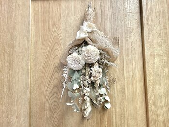 アオイ 表参道(Aoi)/店内植物3［表参道/ヘッドスパ］