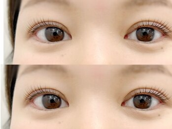 デイリー ラッシュ(DAILY LASH)/立ち上げカール