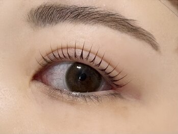 ルピナス 川口(Lupinus)/パリジェンヌラッシュリフト