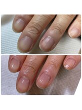 カンパニュラ(Campanula)/育成ケア