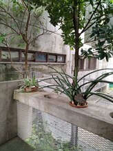 ほぐし手すっきりん 那覇小禄店/植物　もみほぐし　小禄