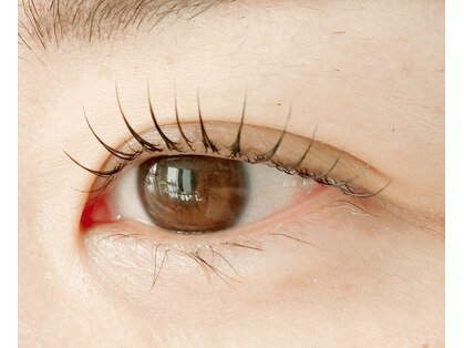 シースタイル(C-S.t.y.l.e.)の写真