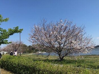 ルナハウス(Luna house)/サロンから見える風景です◎