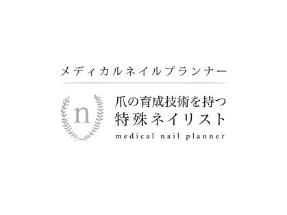 アヤメ(AYAME)の写真