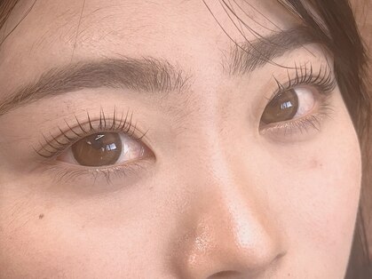 シュシュ(Shu-Shu)の写真