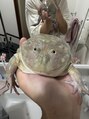 チョアチョア 札幌すすきの店(CHOA-CHOA)&nbsp;片手に乗り切らないサイズのバジェットガエルを飼ってます★