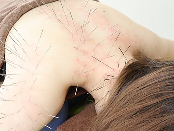 シラカワ 小倉院(SHIRAKAWA)