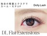 【ご新規様】エクステ人気No.1☆DLフラット 60本 ¥5170→3960
