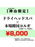 【神山限定】ドライヘッドスパ＋本場韓国コルギ60分¥8,000