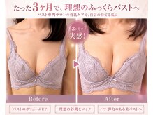 ラウリノサロン(Laurino salon)/産後の下垂したバストにも