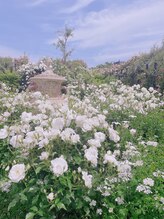 ジジ(Gigi) 加藤 (國井)