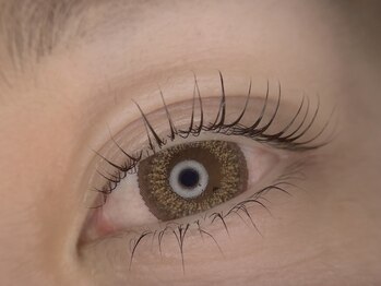 セレッサ(Cereza)の写真/パーマの持続力が高いので、自まつ毛への負担も軽減♪目の形に合わせて長さやカールを提案します♪