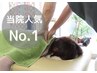【一番人気の全身整体が￥3,300！】あなたに合わせたオーダーメイド施術♪