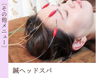 ロマニフ(Romanif)/【その他メニュー】鍼ヘッドスパ