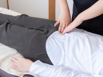 サンテ/プレミアムコース