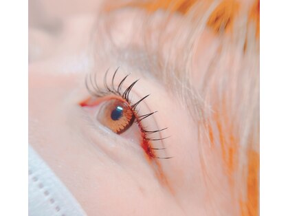 夜まつげの写真