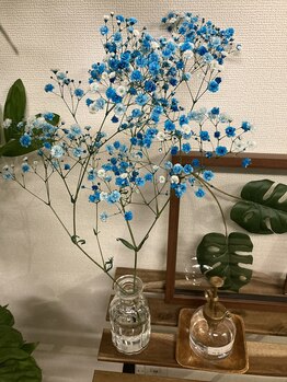 ツリーオブボディケア(TREE OF BODY CARE)/待合席