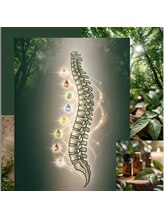 ピュアレスト(PUREST)/BGMは528Hz