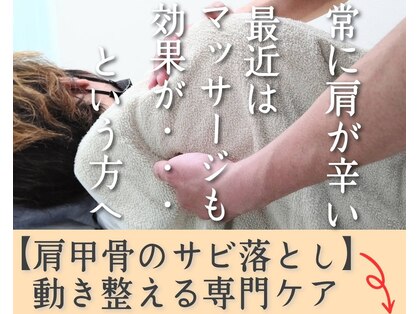 ホグステの写真