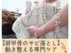 ホグステの写真