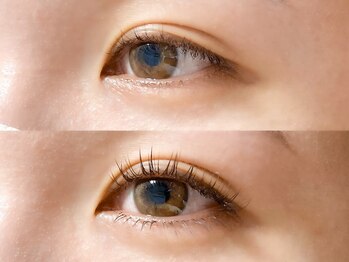 リベラ(Rivera)/上下エクステ/LEDマツエク/野方