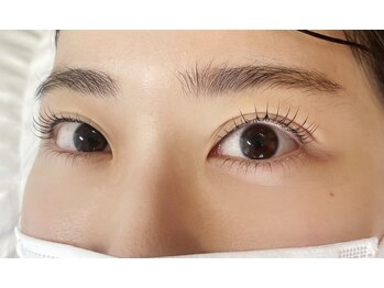 パレット(palette)/●