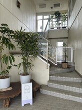 リリー(Lilly)/【４】