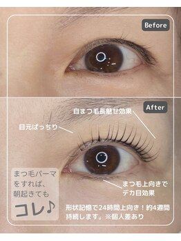 プラスグラッツ 恵比寿(+glatt)/マシュマロッド