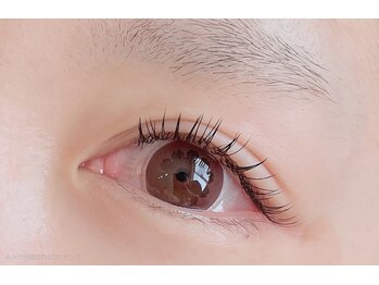 サンタ(SANTA.)/フラットラッシュ120本