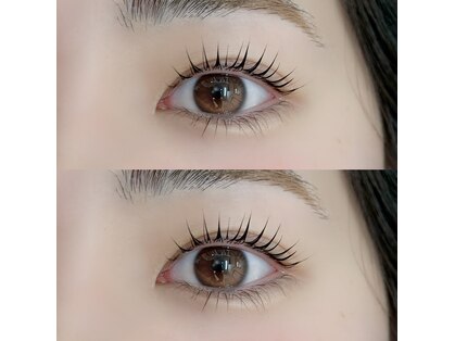 ニコラ(NICOLA)の写真