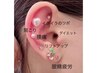 SNSで話題沸騰♪耳ツボジュエリー１０粒♪お得な2800円♪可愛いく体調管理★