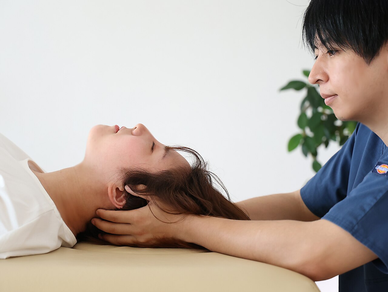 オーソパシック メディスン筋膜歪曲モデルを通してのオステオパシーと整形外科の統一 増補改訂版 オステオパシーアトラス マニュアルセラピーの理論と