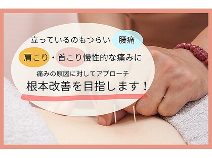 キランソウ(KIRANSOU)の写真