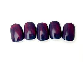 Bコース　5200円