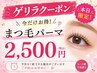 【本日限定ゲリラ】似合わせまつげパーマ￥2500※19時以降＋550円