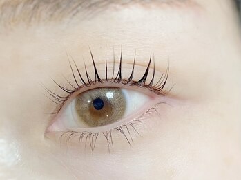 ロンド(Rond)/上下ラッシュリフト