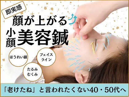 ピュアハリの写真