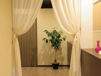 アネラ(ANELA)/店内の様子