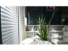 アイリー(i’rry)/