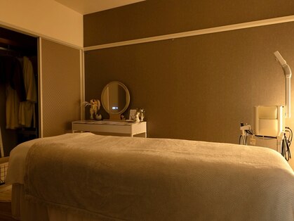 モルフォ(Morpho.)の写真